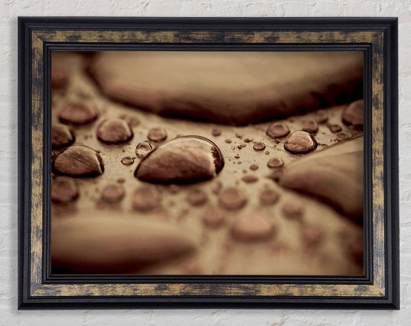 Chocolate Raindrop