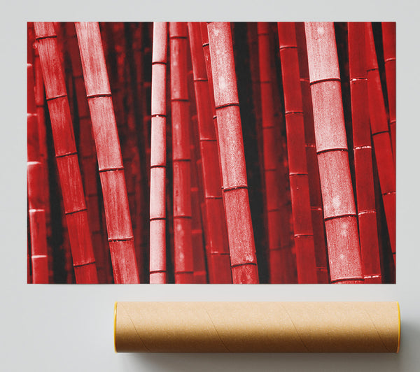 Red Bamboo