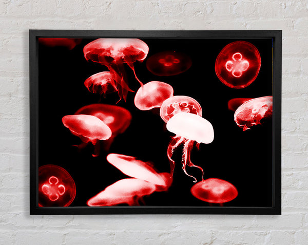 Red Neon Jellyfish