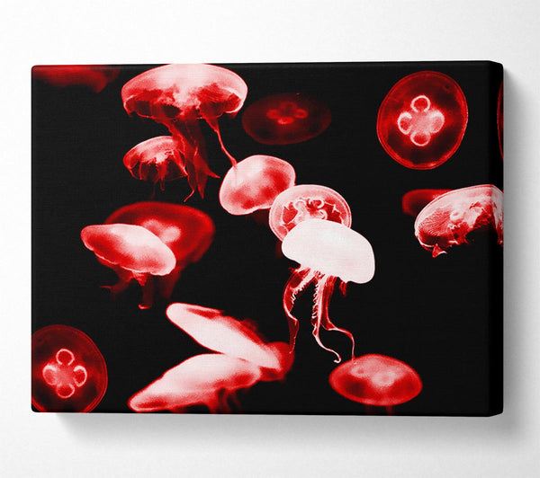 Red Neon Jellyfish