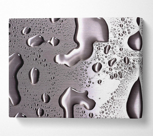 Water Drops On Silver Surface