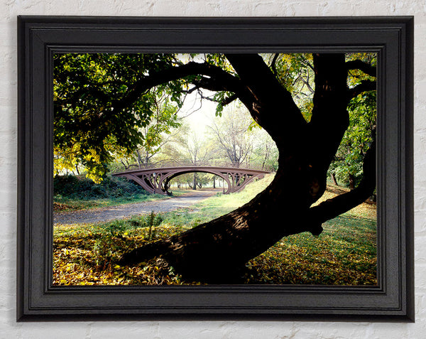 Central Park Bridge New York City