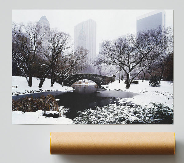 Central Park In Winter