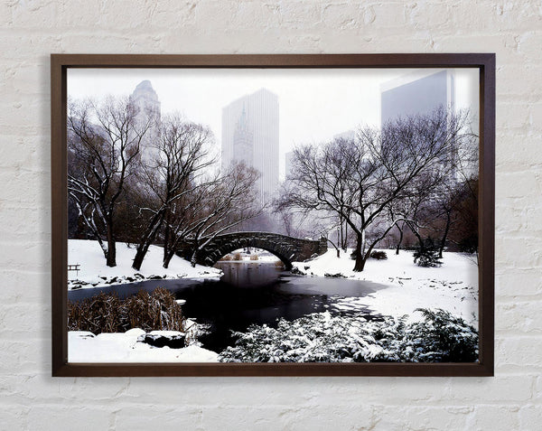 Central Park In Winter