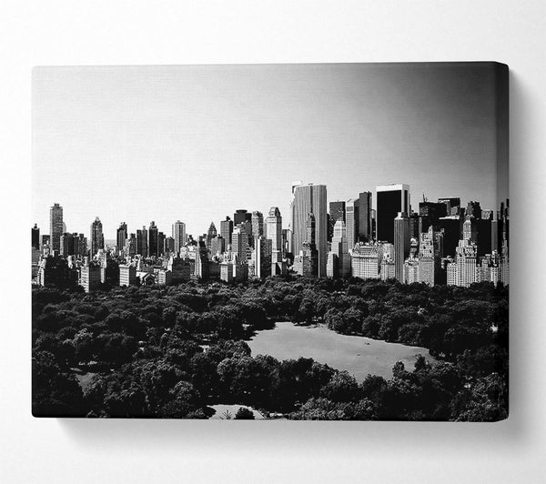 New York City Central Park From Above B n W