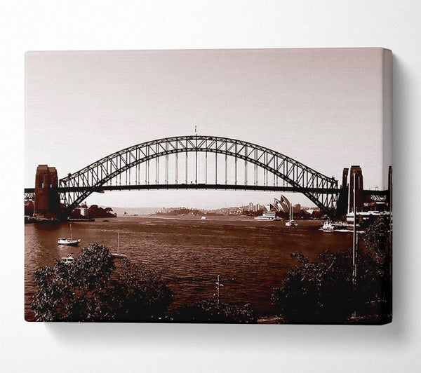 Sydney Harbour Bridge Brown