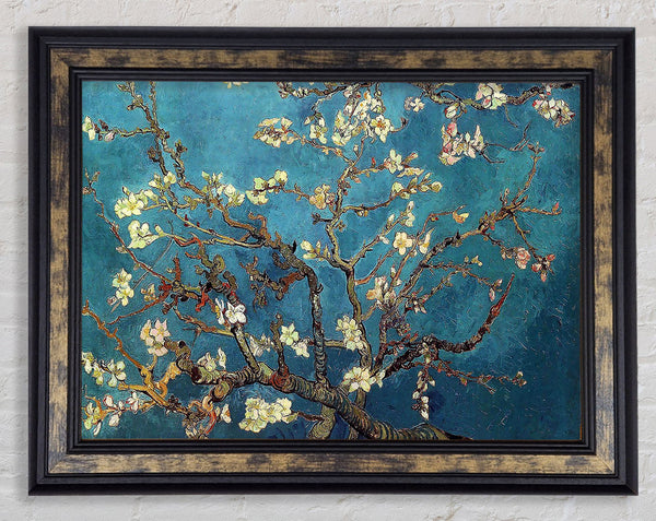 Van Gogh Almond Branches