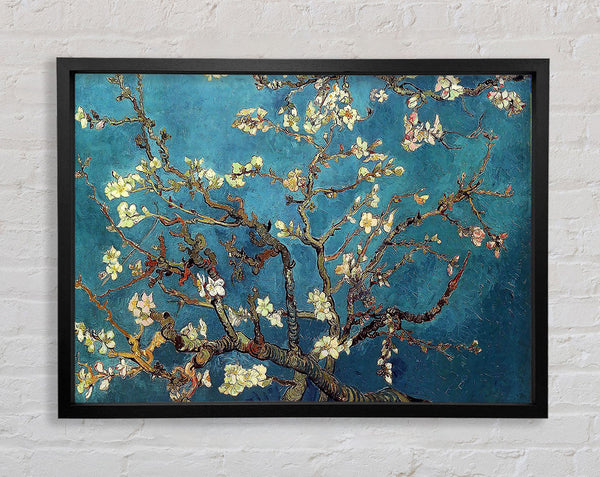 Van Gogh Almond Branches