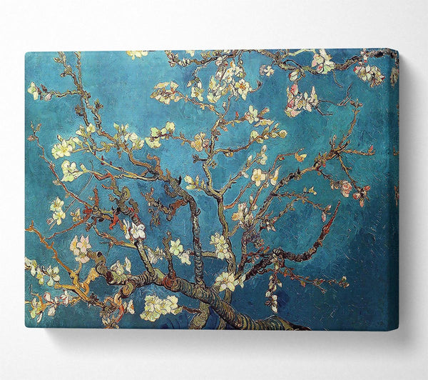 Van Gogh Almond Branches