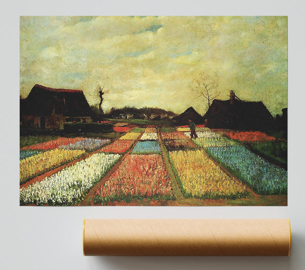 Van Gogh Bulb Fields