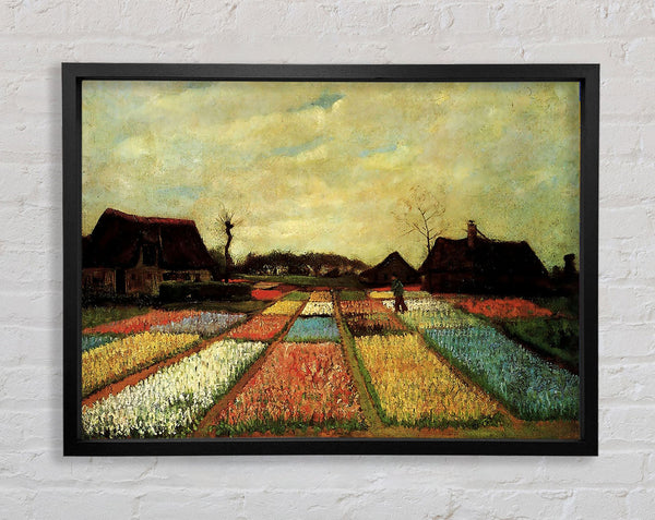 Van Gogh Bulb Fields