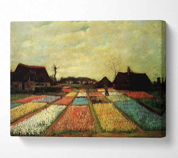 Van Gogh Bulb Fields