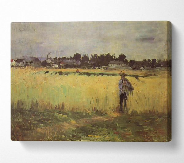 Morisot In Wheat Field