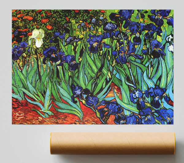 Van Gogh Irises 2