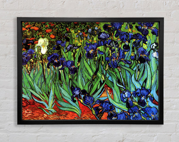 Van Gogh Irises 2