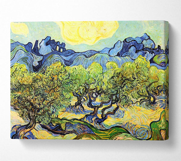 Van Gogh Landscape With Olive Trees