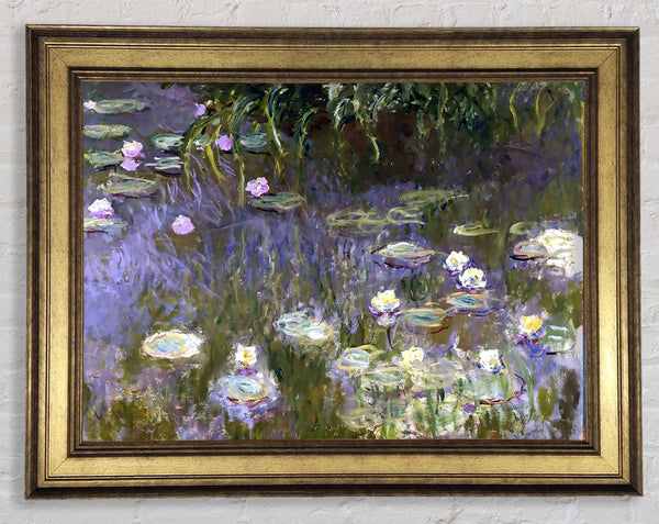 Monet Water Lilies