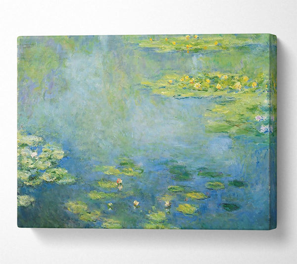 Monet Waterlilies