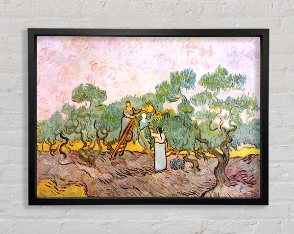 Van Gogh Olive Pickers