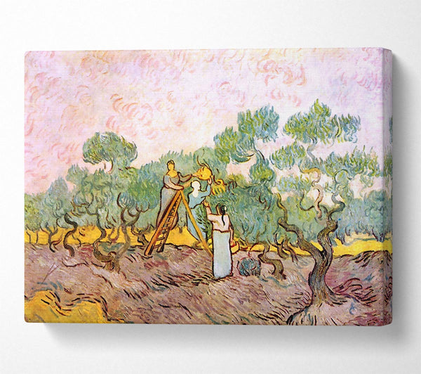 Van Gogh Olive Pickers