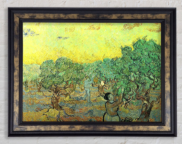 Van Gogh Olive Pickers In A Grove