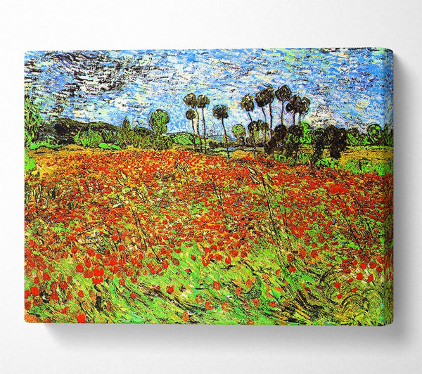 Van Gogh Poppy Fields