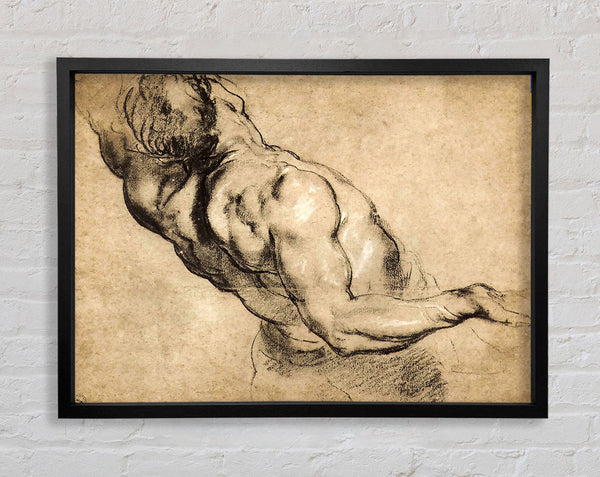 Rubens Study Of Mans Torso