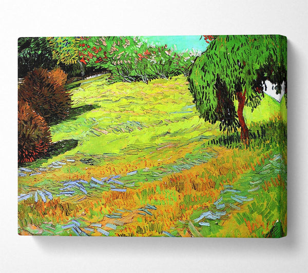 Van Gogh Sunny Lawn In A Public Park