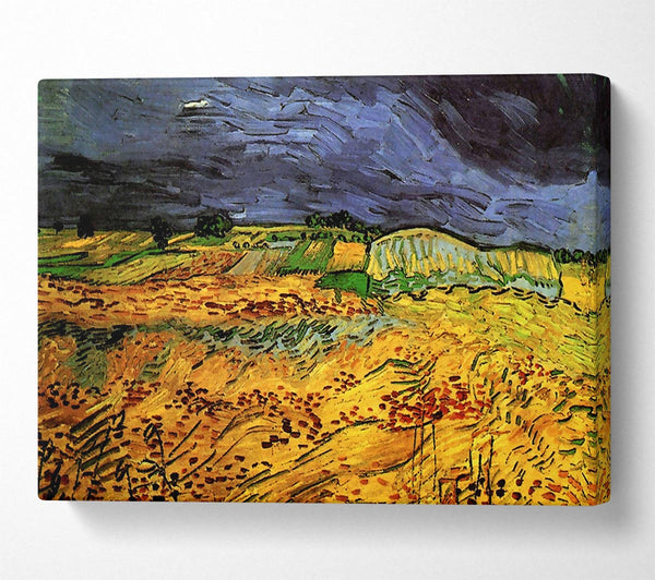 Van Gogh The Fields