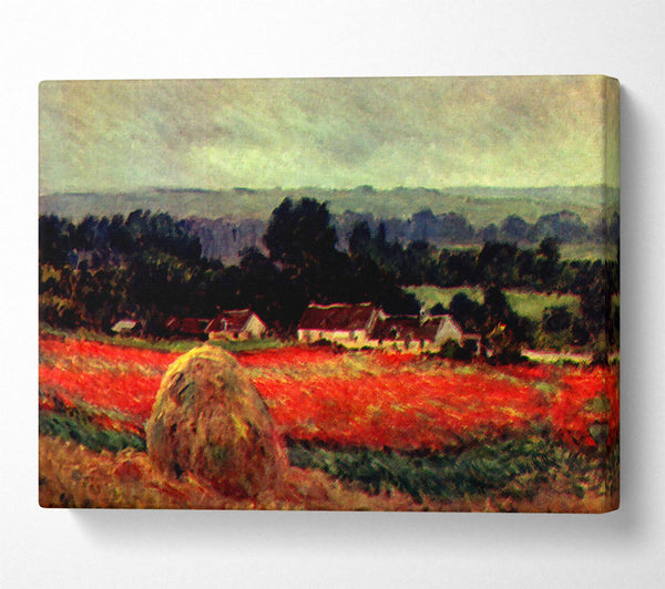 Monet The Poppy Blumenfeld The Barn