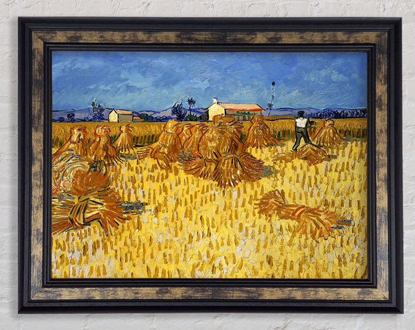 Van Gogh Corn Harvest In Provence