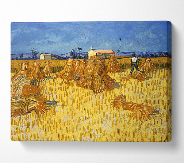 Van Gogh Corn Harvest In Provence