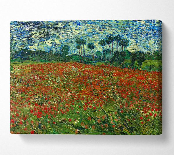 Van Gogh Poppy Field