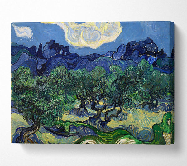 Van Gogh The Olive Trees