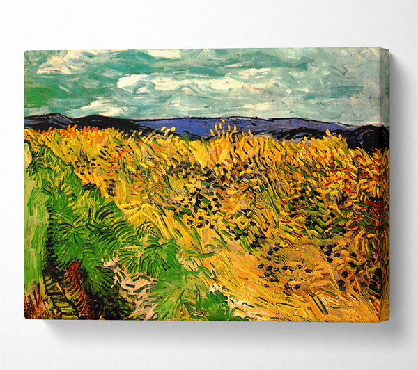 Van Gogh Wheat Field With Cornflowers