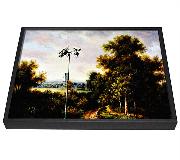 A picture of a Countryside Cctv framed canvas print sold by Wallart-Direct.co.uk