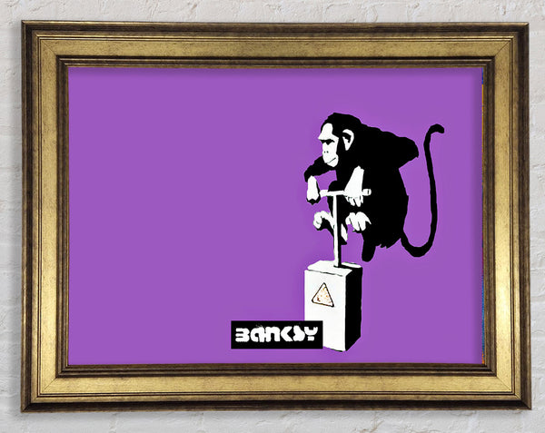 Monkey Detonator Purple