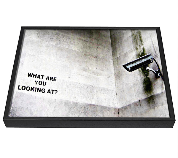 A picture of a What Are You Looking At framed canvas print sold by Wallart-Direct.co.uk