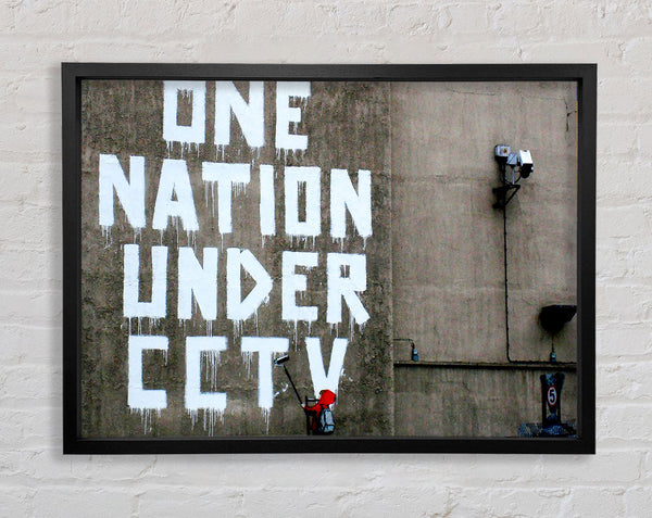 One Nation Under Cctv