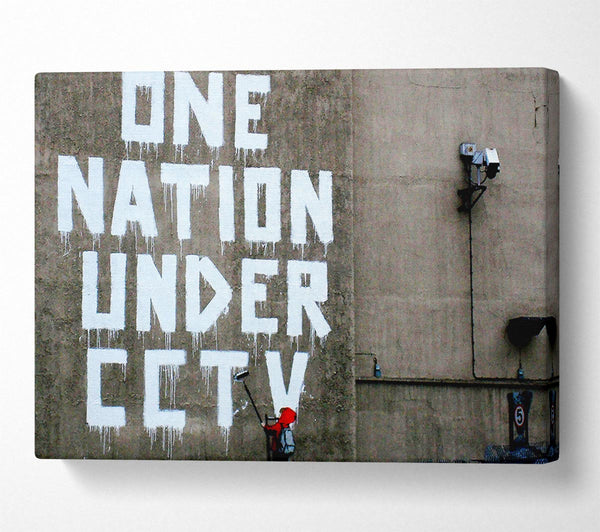 One Nation Under Cctv