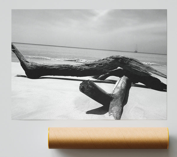 Ocean Drift Wood On The Shore B N W