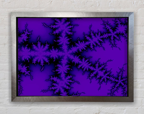 Internal Snow Flake Black On Purple