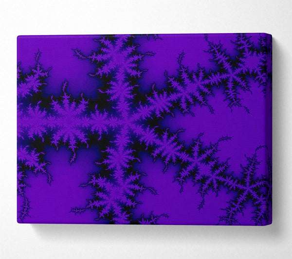 Internal Snow Flake Black On Purple