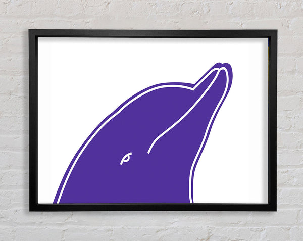 Purple Dolphin