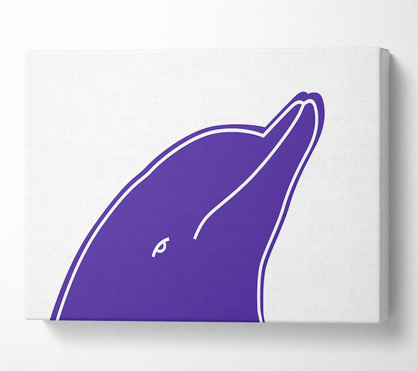 Purple Dolphin