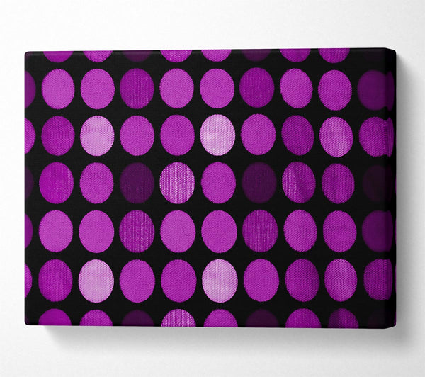 Purple Circles