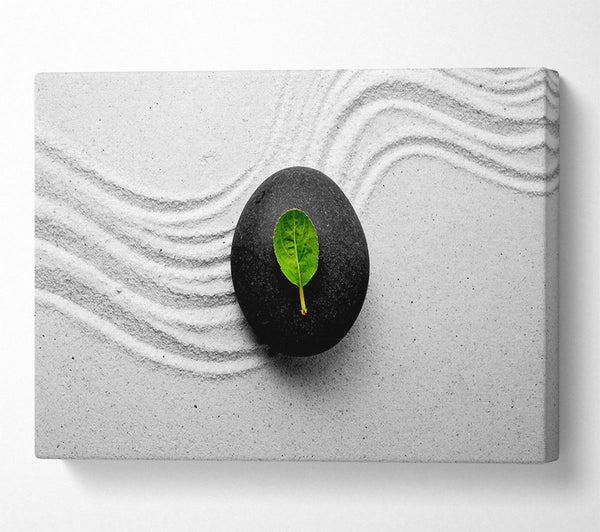 Zen Garden Pebble