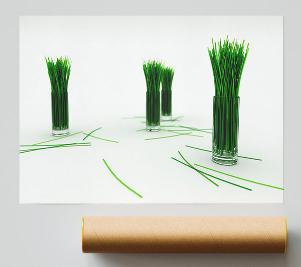 Wheat Glass Grass