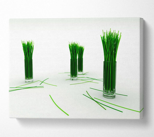 Wheat Glass Grass