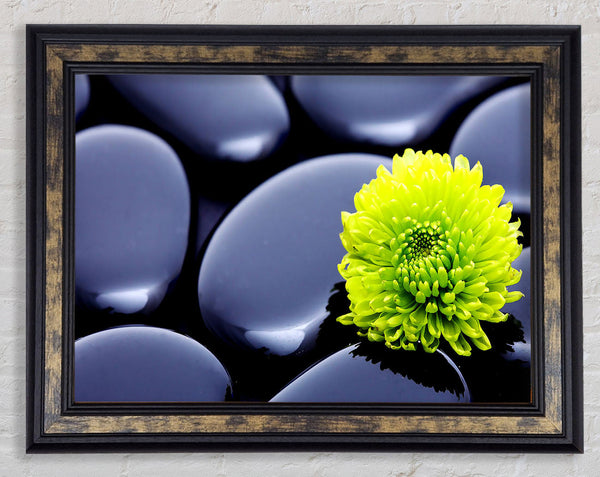 Black Zen Stones And A Yellow Mum